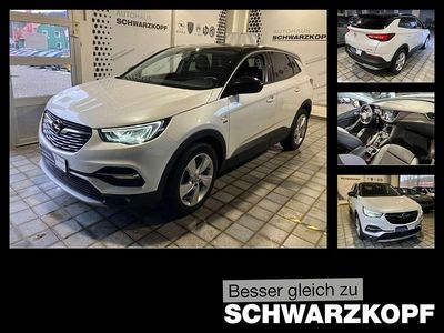 Gebraucht Opel Grandland X 131 PS (96 kW) 2020 Weiß SUV