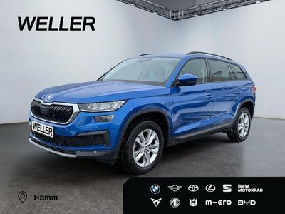 Blau Gebraucht 2023 Skoda Kodiaq Ambition SUV | 29.480 € (Fairer Preis)