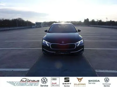 Gebraucht Skoda Octavia 150 PS (110 kW) 2025 Schwarz magic perleffekt Kombi