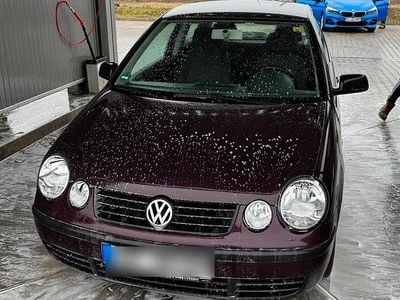 Gebraucht VW Polo Basis 75 PS (55 kW) 2002 Violet Kleinwagen