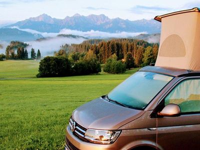 Second-hand VW California California 150 CP (110 kW) 2018 Gri Van