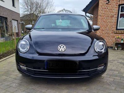 gebraucht VW Beetle Sport