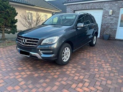 Gebraucht Mercedes ML350 258 PS (189 kW) 2014 Grau SUV
