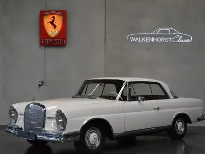 Gebraucht Mercedes 250 SE 150 PS (110 kW) 1966 Weiß Coupé