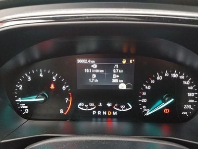 Usata Ford Focus Active 182 CV (133 kW) 2020 Bianco Berlina