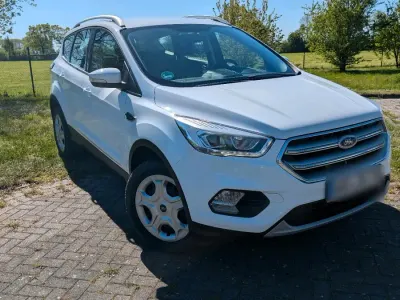 Gebraucht Ford Kuga 150 PS (110 kW) 2017 Weiß SUV