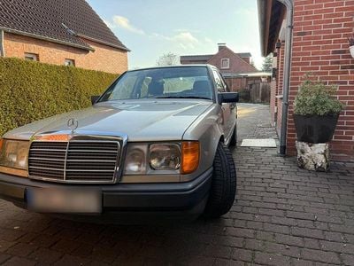 Beige Gebraucht 1989 Mercedes 230 Kombi | 14.900 €