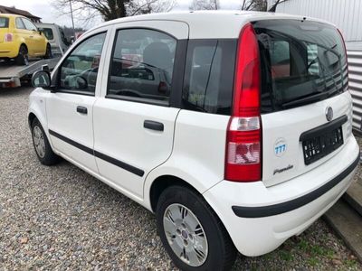 gebraucht Fiat Panda 1.1 8V Active