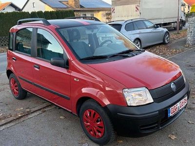Usata Fiat Panda Active 54 CV (39 kW) 2006 Rosso Utilitaria