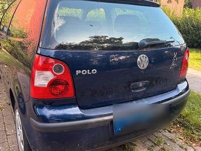 VW Polo