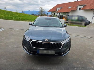 Gebraucht Skoda Octavia Style 150 PS (110 kW) 2020 Grau Kombi