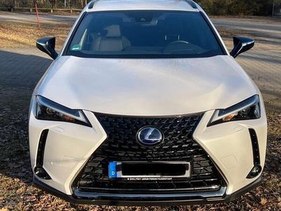 Lexus UX 250h