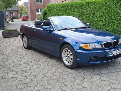 Blau Gebraucht 2004 BMW 318 Cabriolet Sport Line Cabrio | 8.500 € (Etwas zu teuer)