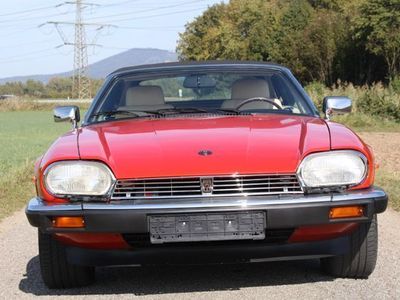 gebraucht Jaguar XJS Cabrio 2 Jahre Garantie