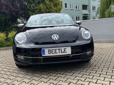VW Beetle