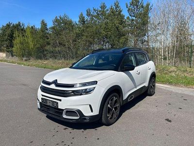Gebraucht Citroën C5 Aircross Live 131 PS (96 kW) 2020 Weiß SUV