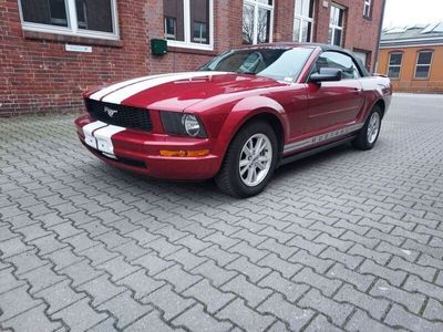 gebraucht Ford Mustang Cabrio V6