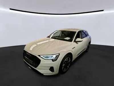 Second-hand Audi e-tron Advanced 230 kW (313 CP) 2022 Alb SUV