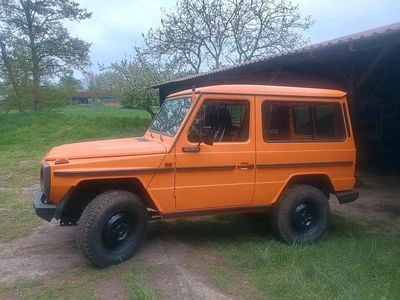 Mercedes G290