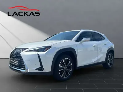 Gebraucht Lexus UX 250h Executive Line 184 PS (135 kW) 2023 Weiß SUV