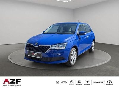 Usata Skoda Fabia Active 60 CV (44 kW) 2020 Blu Utilitaria