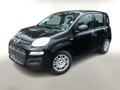Neu Fiat Panda 69 PS (50 kW) 2025 Cinema schwarz Kleinwagen