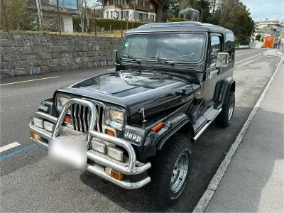 Gebraucht Jeep Wrangler 178 PS (130 kW) 1992 Schwarz SUV