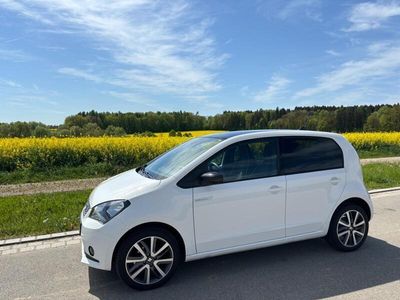Seat Mii Electric