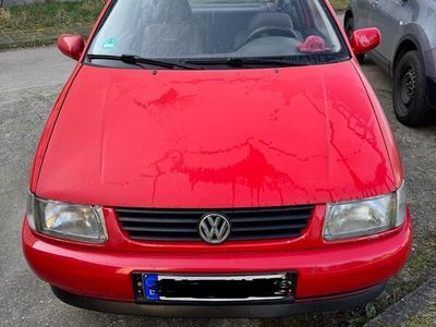 VW Polo