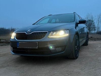 Gebraucht Skoda Octavia LAURIN & KLEMENT 179 PS (131 kW) 2017 Grau Kombi