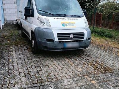 Second-hand Fiat Ducato 100 CP (73 kW) 2006 Alb Van