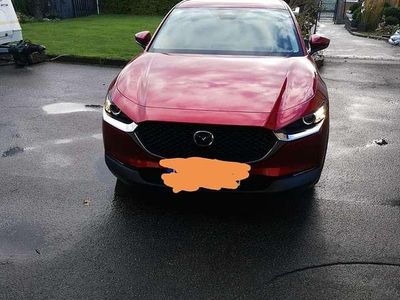 Neu Mazda CX-30 140 PS (102 kW) 2025 SUV