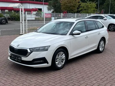 Gebraucht Skoda Octavia G-TEC 131 PS (96 kW) 2023 Weiß Kombi