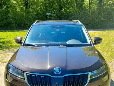 Usata Skoda Karoq Clever 150 CV (110 kW) 2021 Marrone SUV