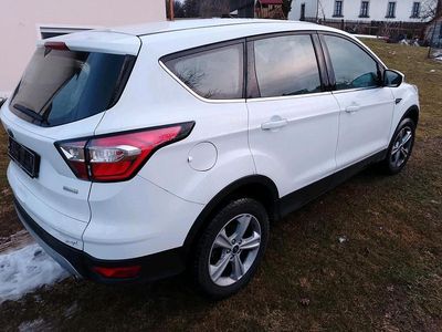Gebraucht Ford Kuga 120 PS (88 kW) 2019 Weiß SUV