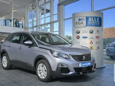 Gebraucht Peugeot 3008 Active 131 PS (96 kW) 2020 Grau metallic m SUV