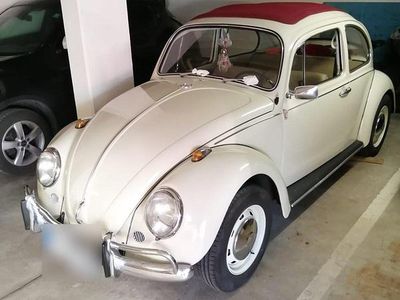 Gebraucht VW Käfer 34 PS (25 kW) 1967 Weiß Limousine