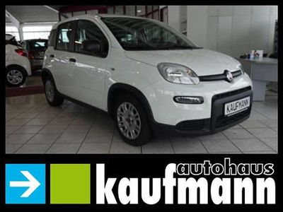 Colore esterno (weiss) Gebraucht 2022 Fiat Panda Kleinwagen | 10.490 € (Fairer Preis)