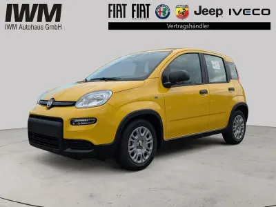 Neu Fiat Panda 69 PS (50 kW) 2025 Gelb Kleinwagen