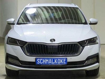 Gebraucht Skoda Octavia Style 116 PS (85 kW) 2023 Moon white (metallic) Kombi