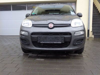 gebraucht Fiat Panda 5tg.Easy 1,2 Benzin/LPG