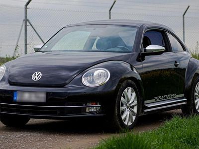 VW Beetle