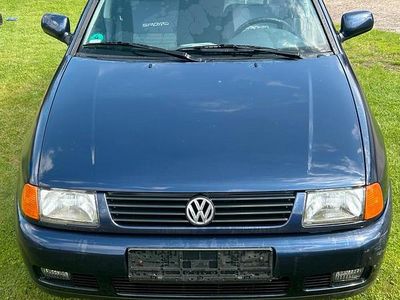 VW Polo