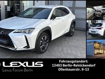 Gebraucht Lexus UX 250h 184 PS (135 kW) 2022 Weiß SUV