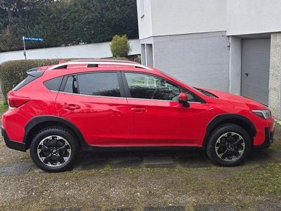 Gebraucht Subaru XV Trend 114 PS (83 kW) 2023 Rot SUV