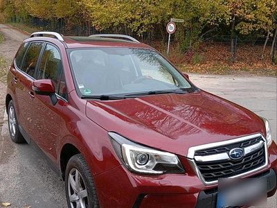 Rot Gebraucht 2016 Subaru Forester Sport SUV | 12.500 €