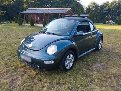 VW Beetle