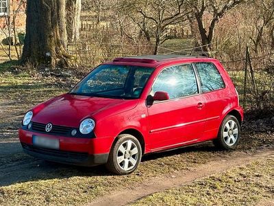 Gebraucht VW Lupo 50 PS (36 kW) 2004 Rot Kleinwagen