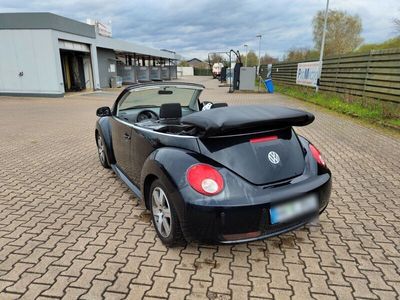 gebraucht VW Beetle 