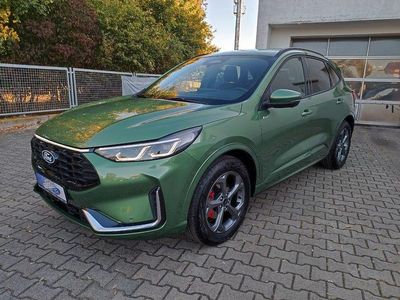Neu Ford Kuga ST-Line X 186 PS (136 kW) 2025 Grün SUV